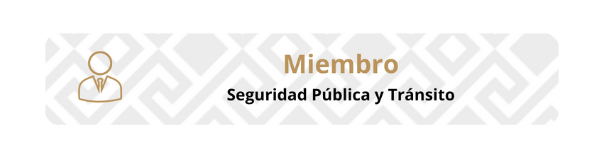 Seguridad Pública y Tránsito
